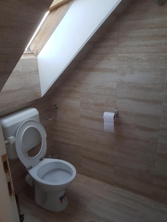Lara Guest House Sfântu-Gheorghe Exteriér fotografie