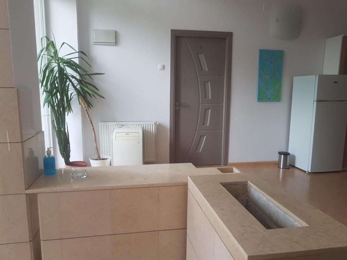 Lara Guest House Sfântu-Gheorghe Exteriér fotografie